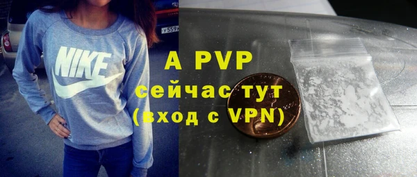 гашик Баксан