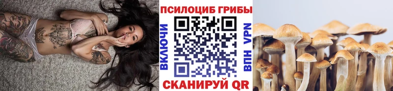 Галлюциногенные грибы ЛСД Волгореченск