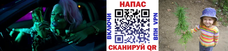 Бошки Шишки White Widow  Волгореченск 
